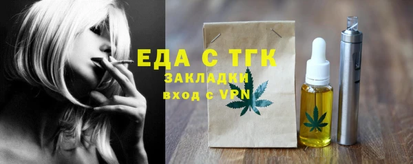 дживик Сясьстрой