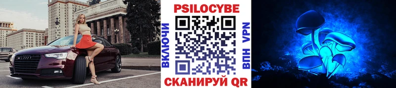 Галлюциногенные грибы GOLDEN TEACHER Усть-Илимск